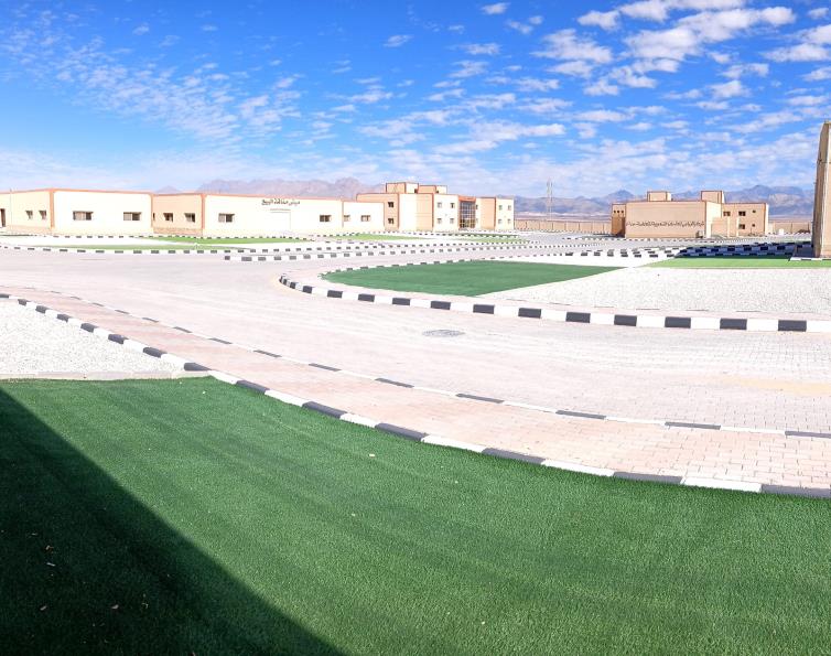 مركز البحوث الزراعية بجنوب سيناء: نموذج للابتكار والتقدم